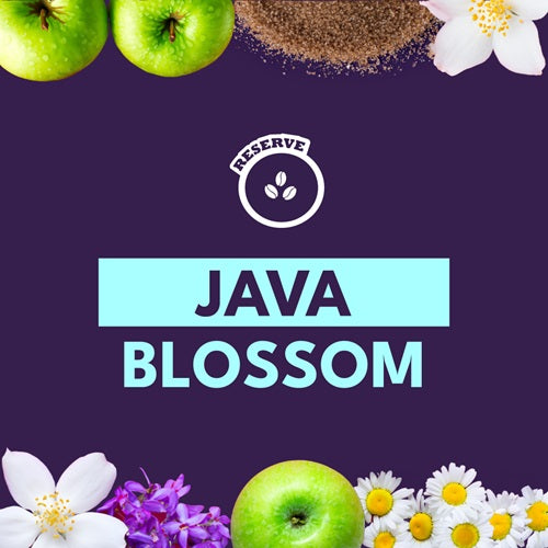 JAVA BLOSSOM