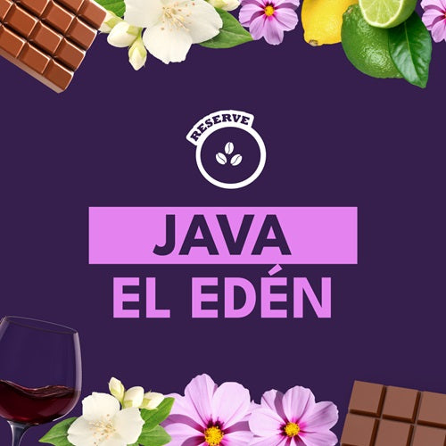 JAVA EL EDEN