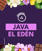 JAVA EL EDEN