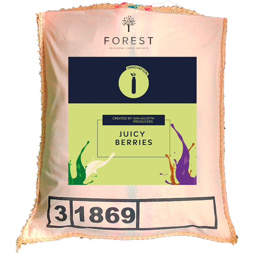 JUICY BERRIES