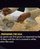 JAVA KOJI