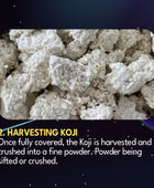 JAVA KOJI