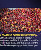 JAVA KOJI