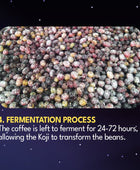 JAVA KOJI