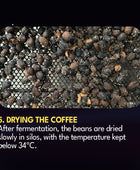 JAVA KOJI
