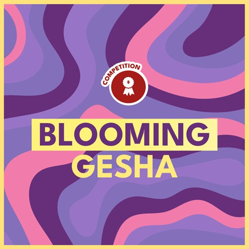 BLOOMING GESHA