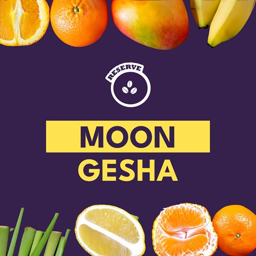 MOON GESHA