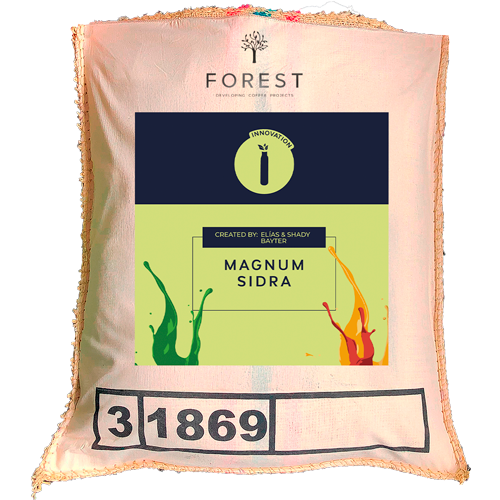 MAGNUM SIDRA