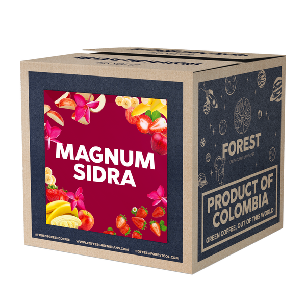 MAGNUM SIDRA - Forest Coffee 