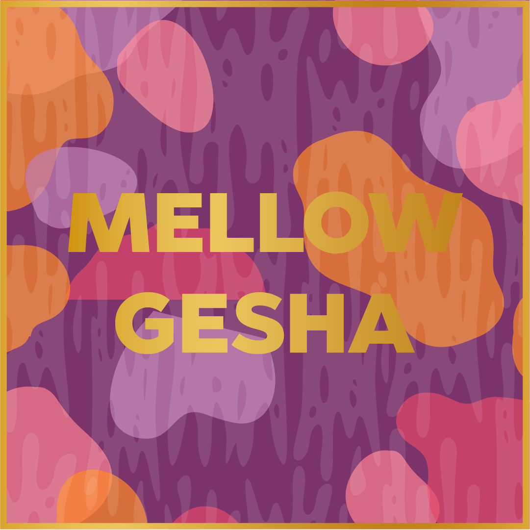 MELLOW GESHA