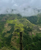 MONTEBONITO