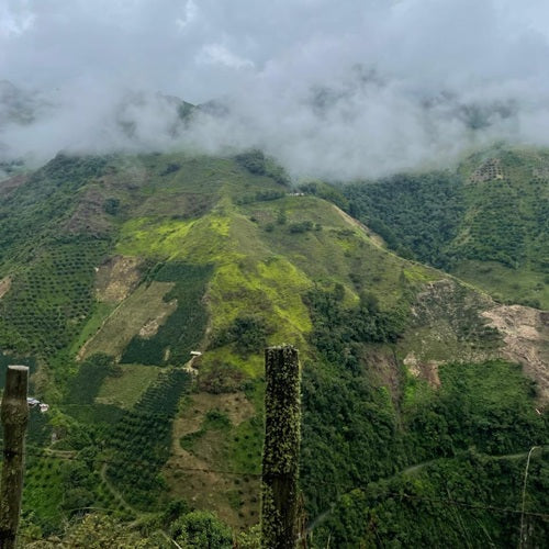 MONTEBONITO
