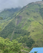 MONTEBONITO