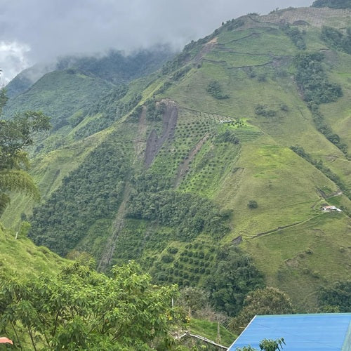 MONTEBONITO