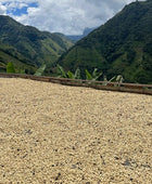 MONTEBONITO