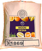 MOON GESHA