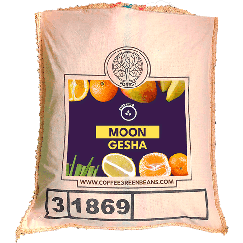 MOON GESHA