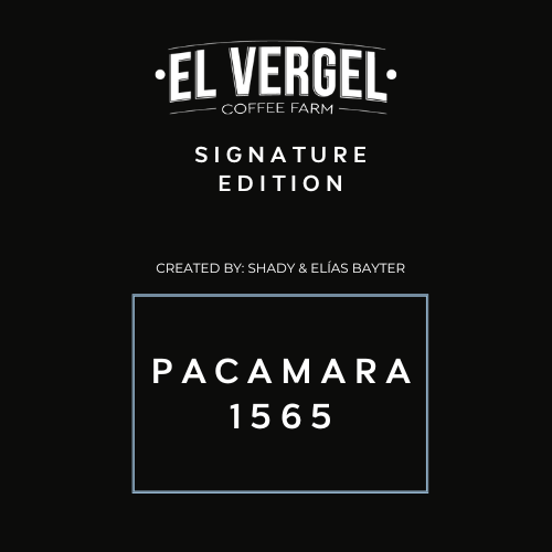 PACAMARA 1565  - VERGEL SIGNATURE