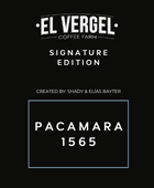 PACAMARA 1565  - VERGEL SIGNATURE
