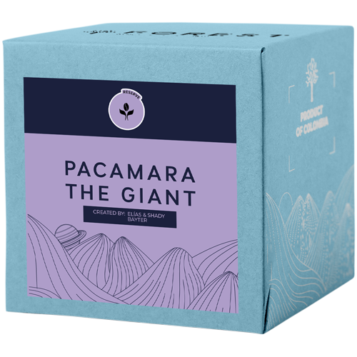 PACAMARA THE GIANT