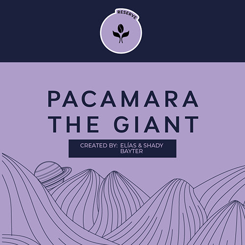 PACAMARA THE GIANT