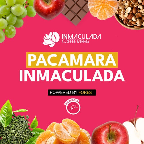 PACAMARA INMACULADA