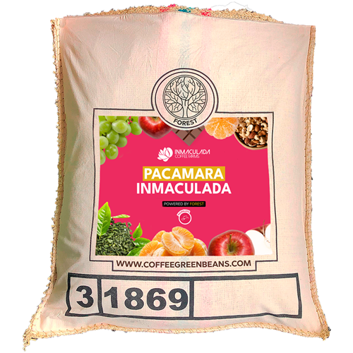 PACAMARA INMACULADA