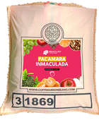 PACAMARA INMACULADA