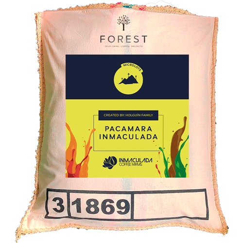 PACAMARA INMACULADA