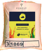 PACAMARA INMACULADA