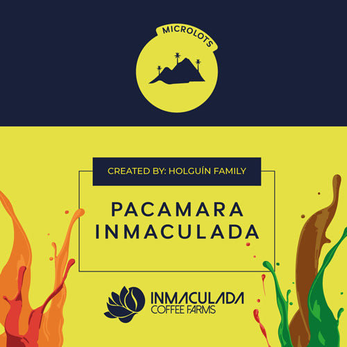 PACAMARA INMACULADA