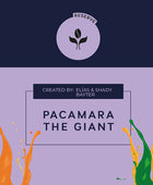PACAMARA THE GIANT