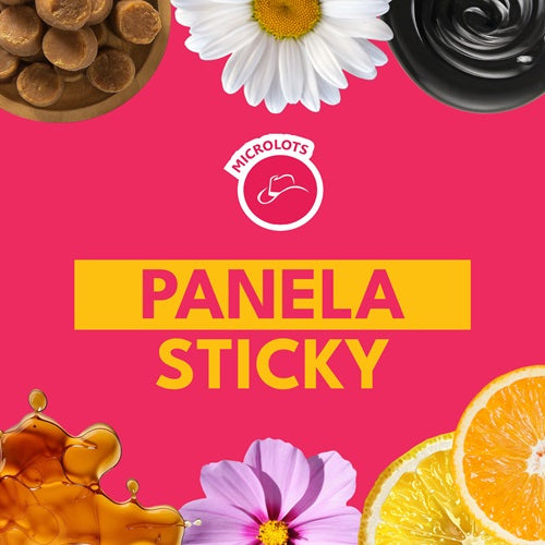 PANELA STICKY