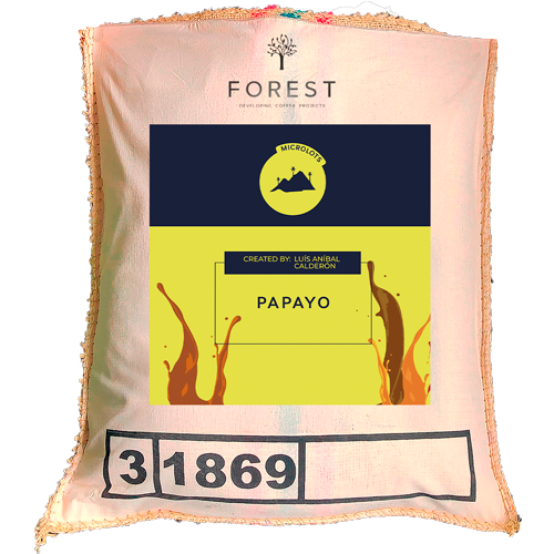 PAPAYO