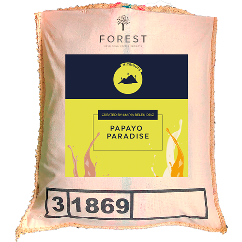PAPAYO PARADISE