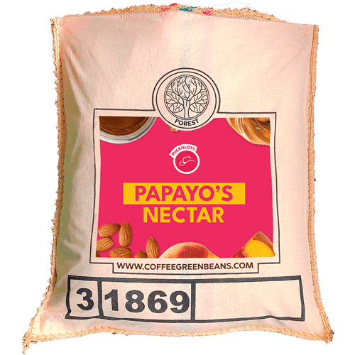 PAPAYO'S NECTAR