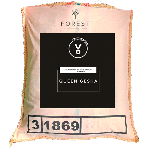 QUEEN GESHA