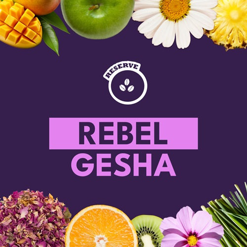 REBEL GESHA