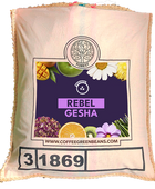 REBEL GESHA