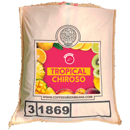 TROPICAL CHIROSO