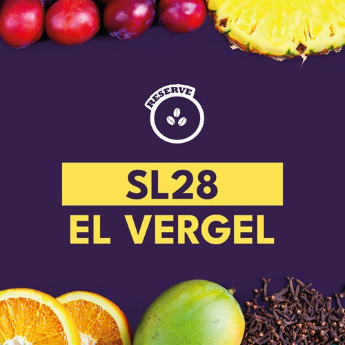 SL28 EL VERGEL