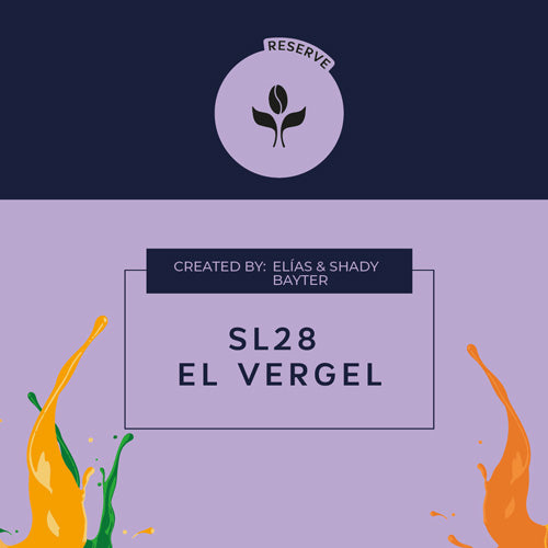 SL28 EL VERGEL - Forest Coffee