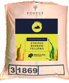 STRIPED BORBON FELLOWS