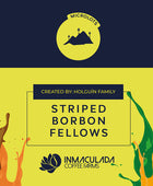 STRIPED BORBON FELLOWS