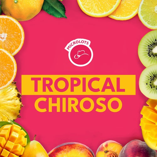 TROPICAL CHIROSO