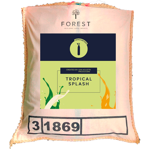 Tropical Splash - Green Coffee On Spot - Forest Coffee