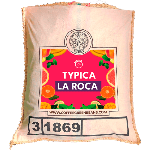 TYPICA LA ROCA