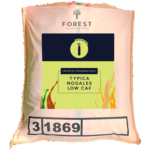 TYPICA NOGALES LOW CAF