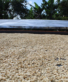 CHIROSO CARMEN MONTOYA