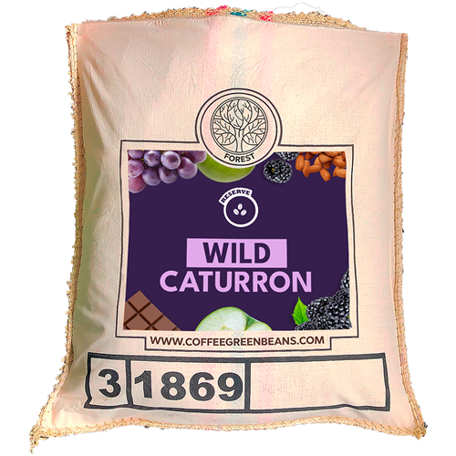 WILD CATURRON